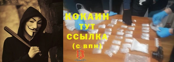 гашик Михайловка
