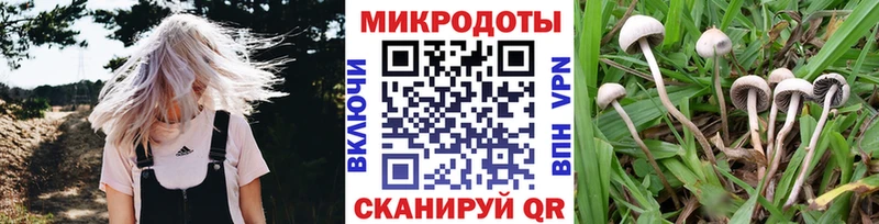 цена Сусуман Галлюциногенные грибы Magic Shrooms